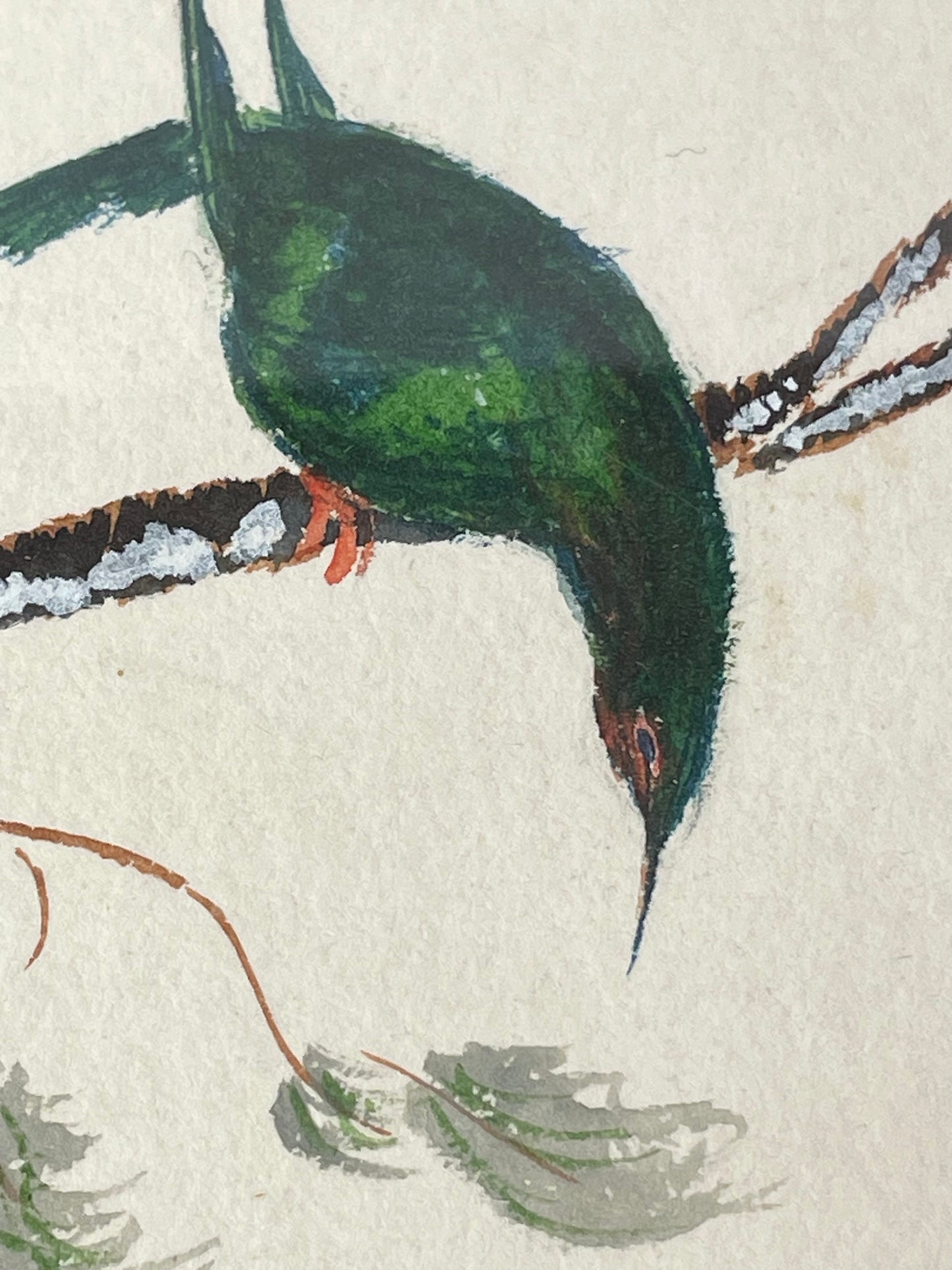 Vintage Artist Signed & Dated Watercolour Painting Birds on Branches - Dated 67