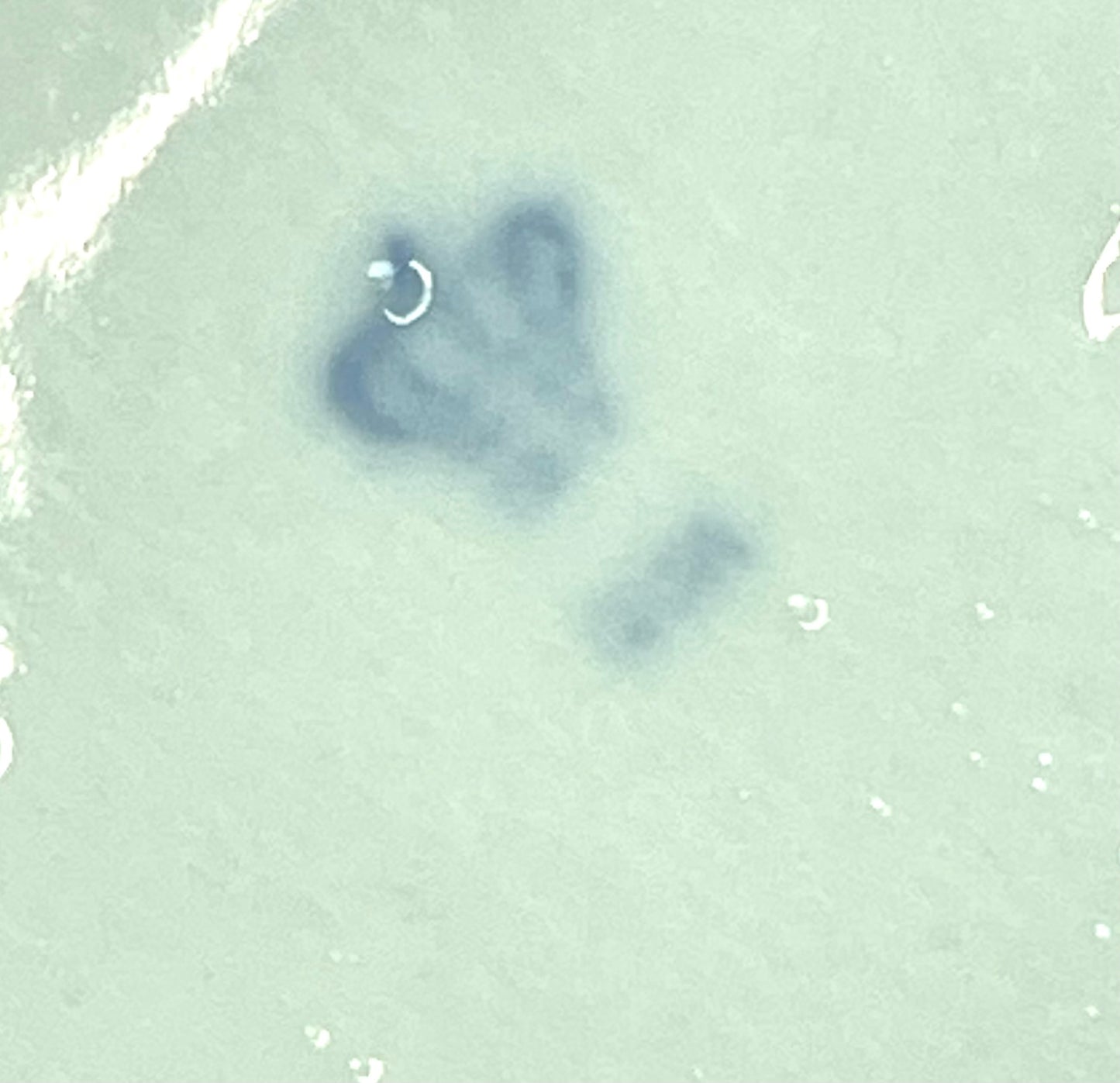 Vintage German Lippeldorf GDR Girl with Wheat Large Figurine