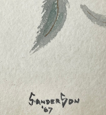 Vintage Artist Signed & Dated Watercolour Painting Birds on Branches - Dated 67